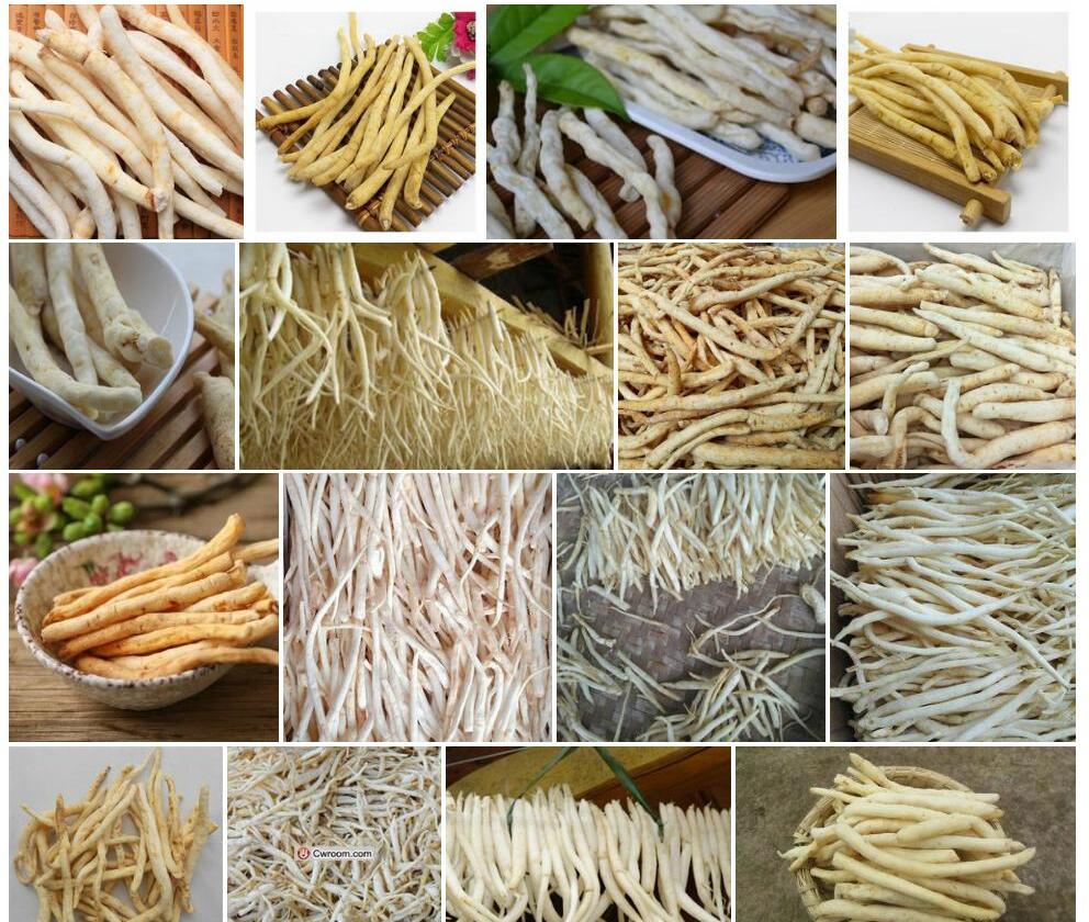 川明参照片和图片/