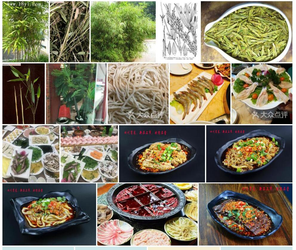 川竹照片和图片/