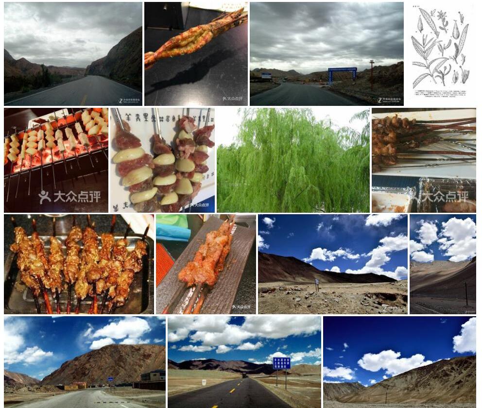 川红柳照片和图片/