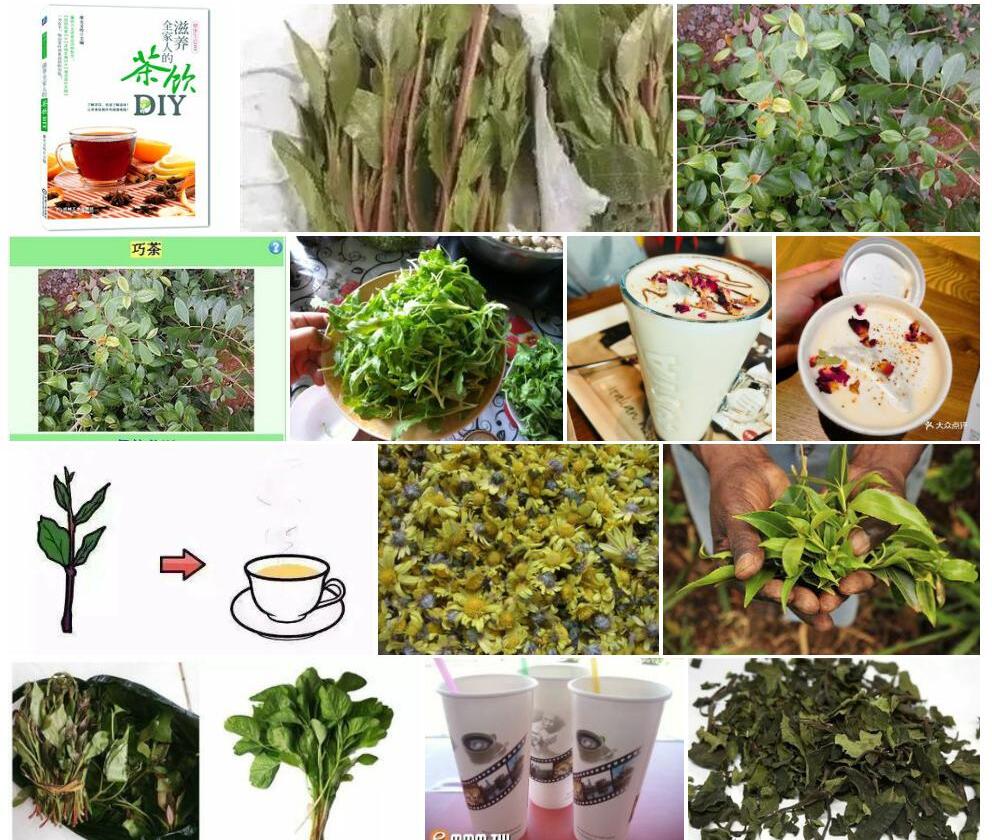 巧茶照片和图片/