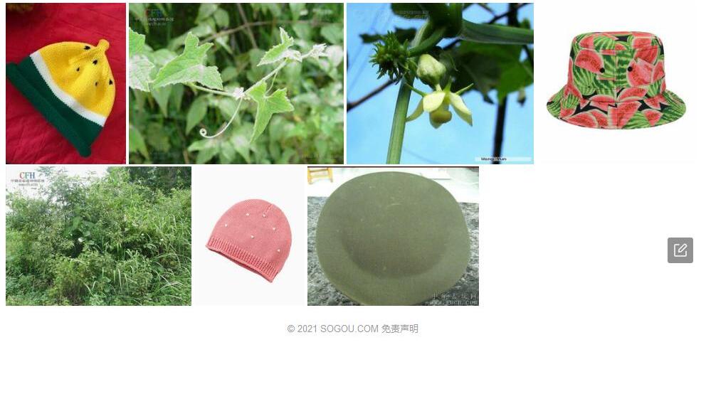帽儿瓜照片和图片/