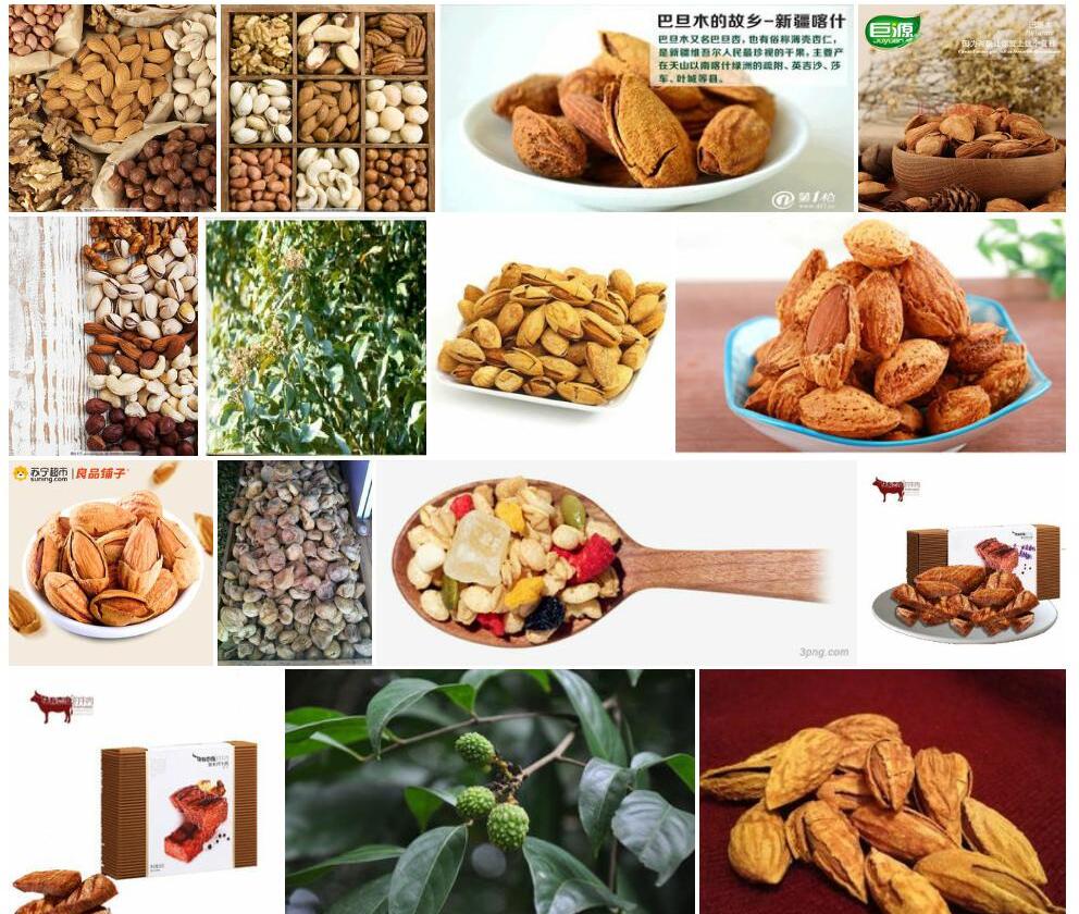 干果木照片和图片/