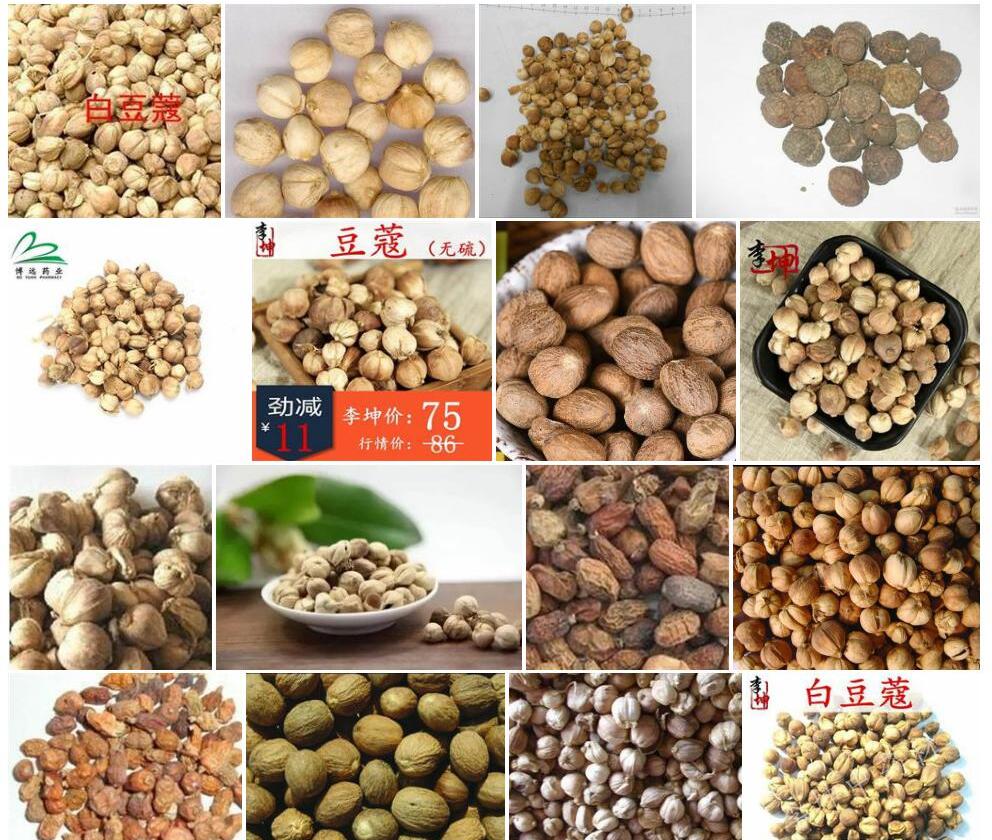 广西豆蔻照片和图片/