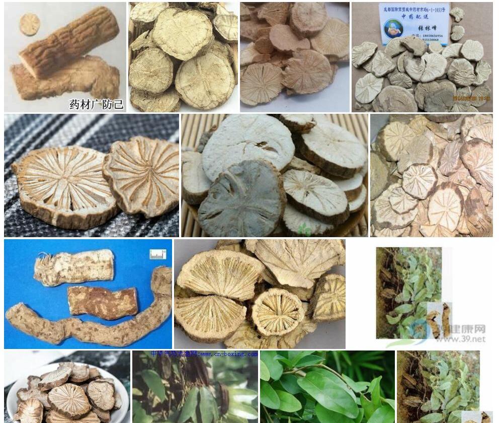 广防己照片和图片/