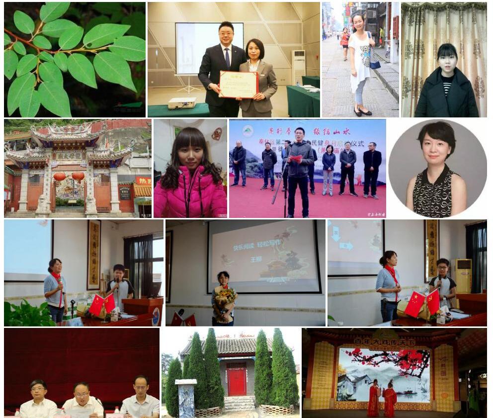 庙王柳照片和图片/
