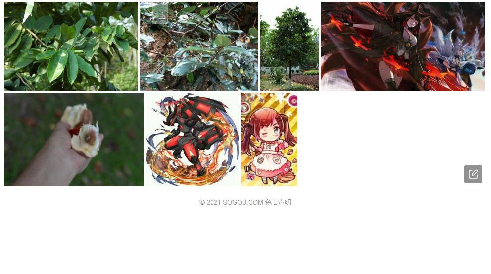 异色柿照片和图片/
