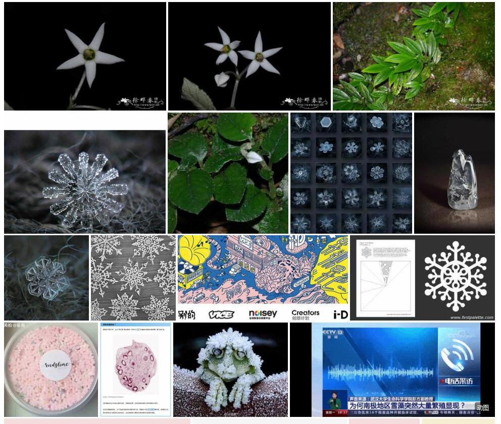 异色雪花照片和图片/