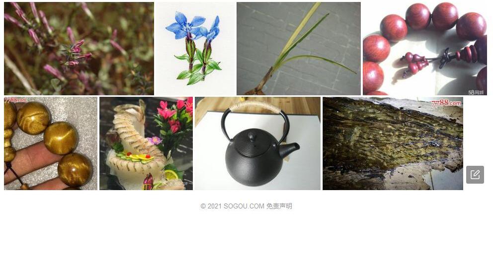 弱小龙胆照片和图片/
