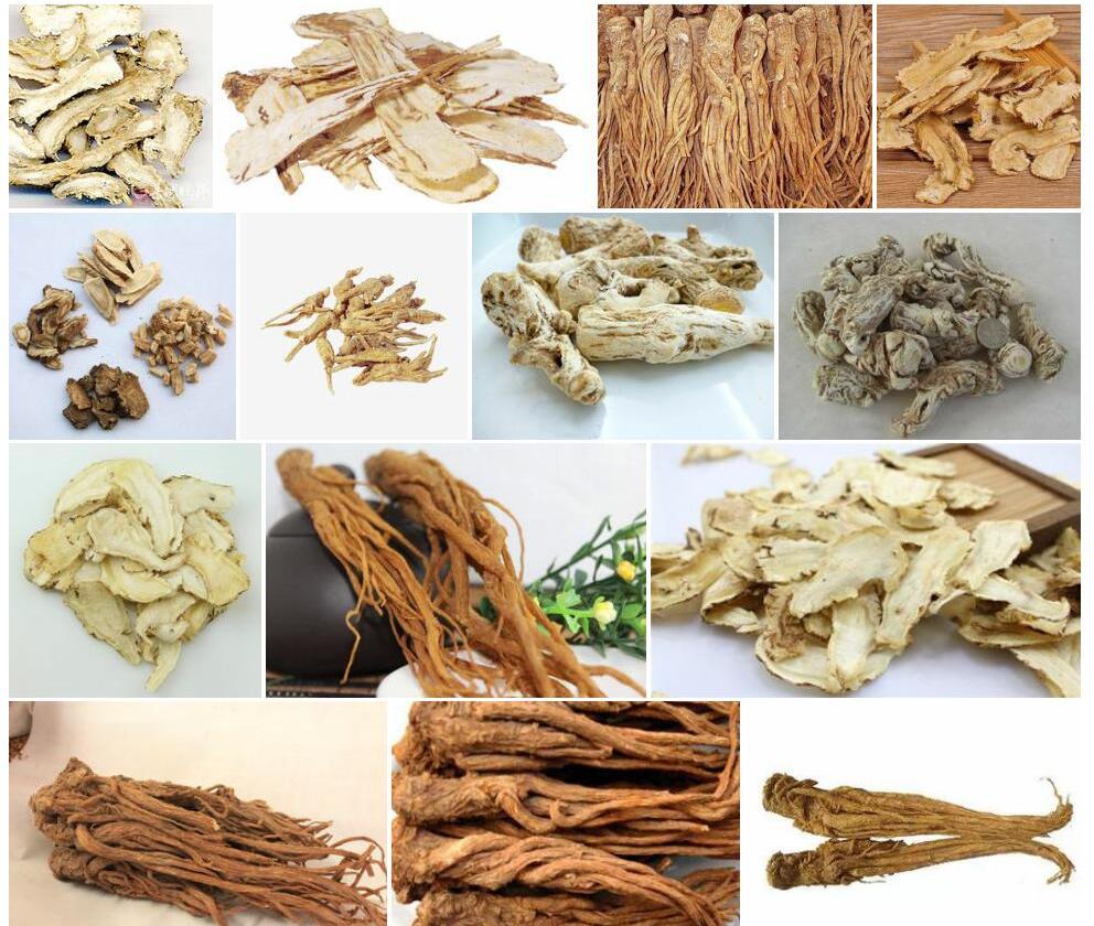 当归照片和图片/