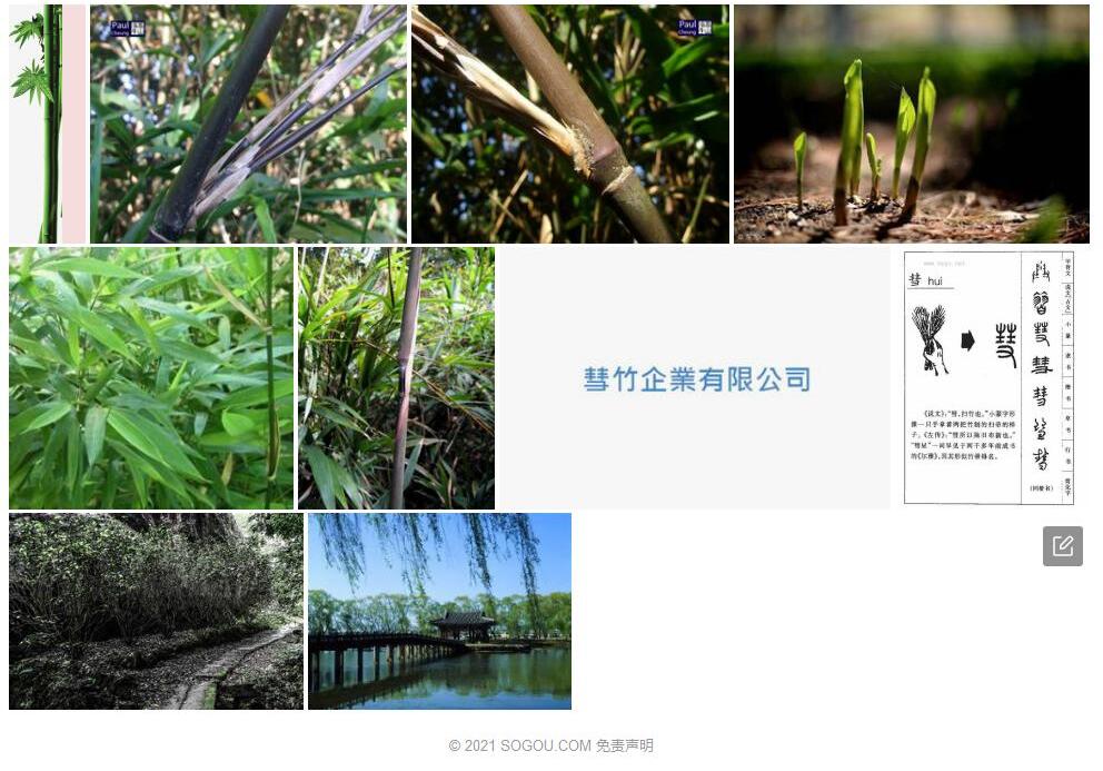 彗竹照片和图片/