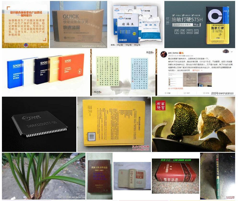 微硬毛建草照片和图片/