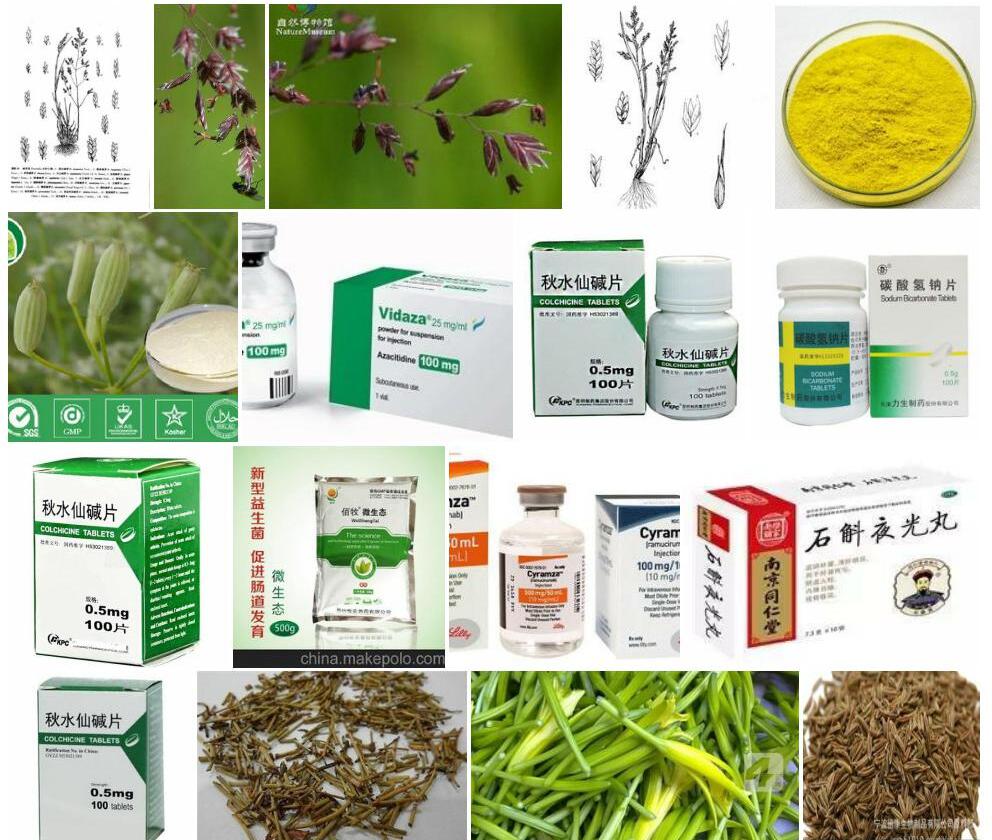 微药碱茅照片和图片/