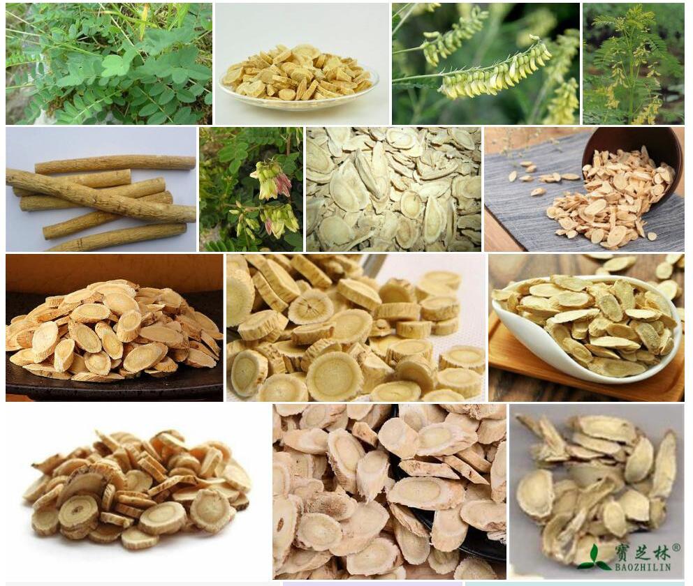 戈尔诺黄耆照片和图片/