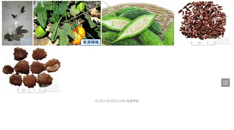 截叶栝楼照片和图片/