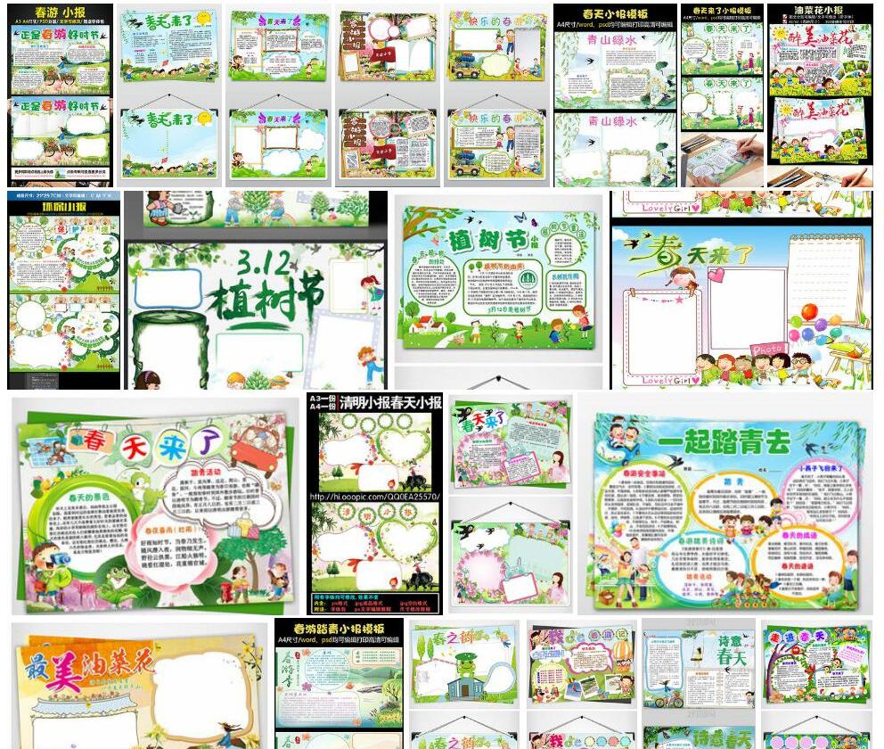 扇叶小报春照片和图片/