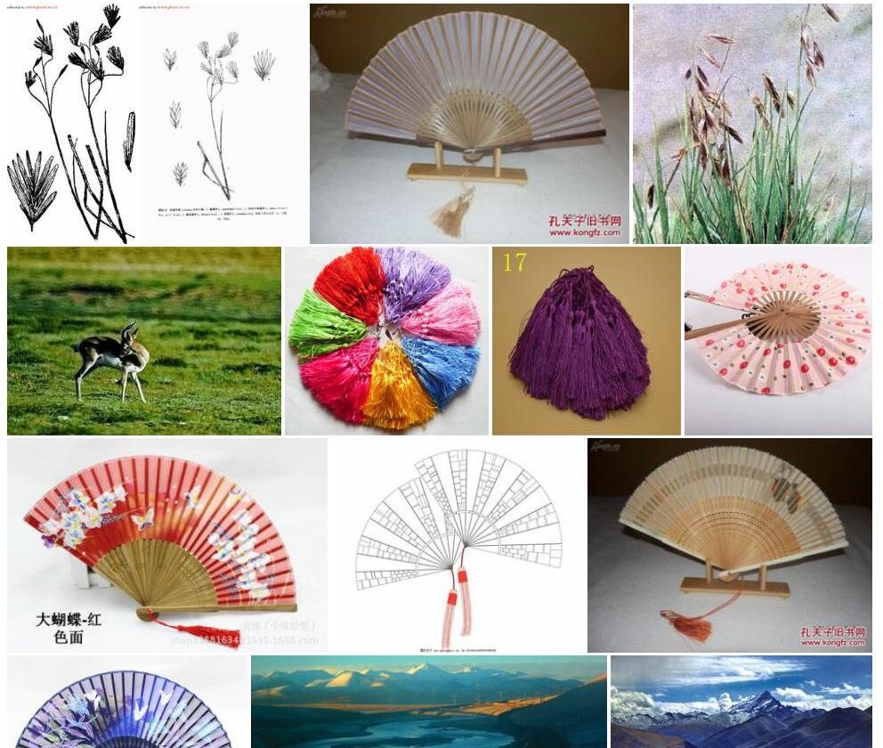 扇穗茅照片和图片/