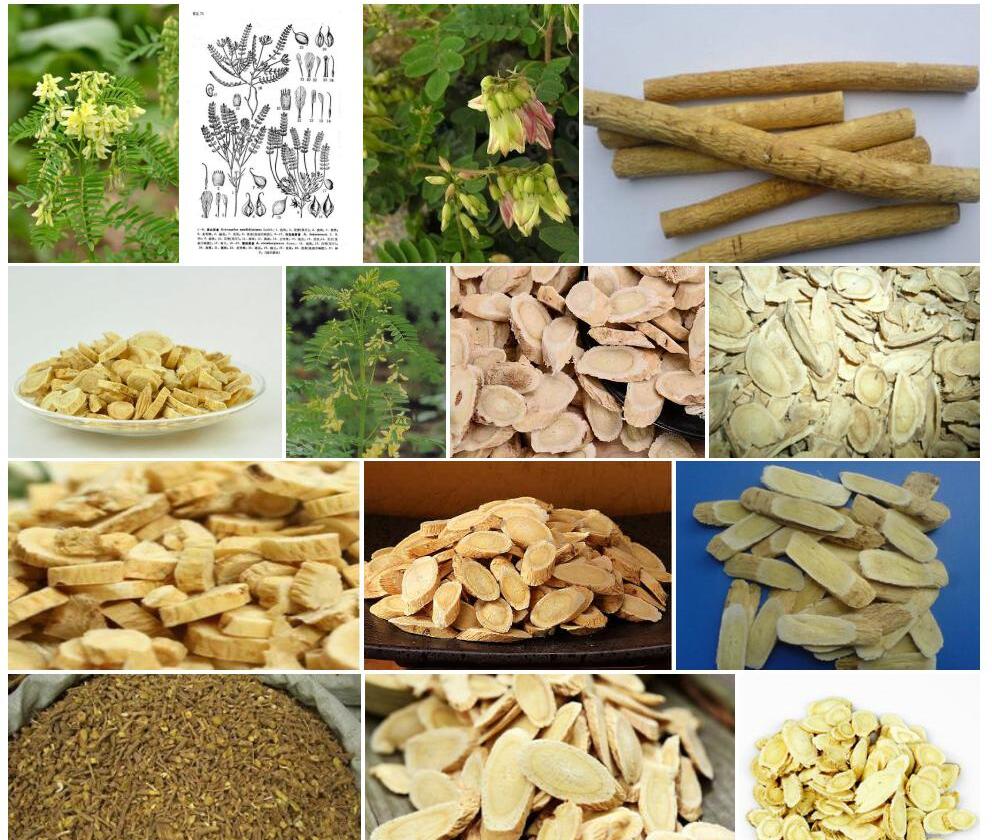 托克逊黄耆照片和图片/