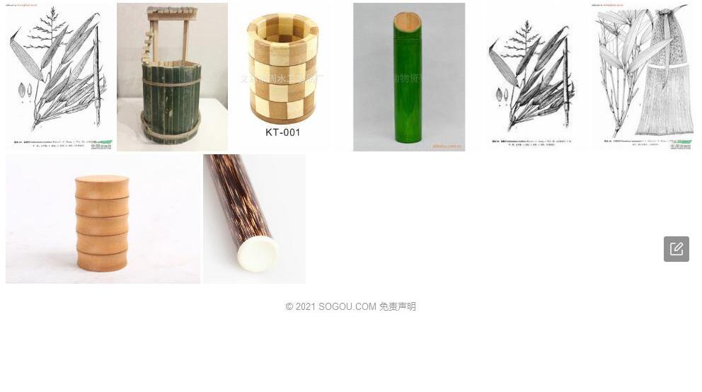 抽筒竹照片和图片/