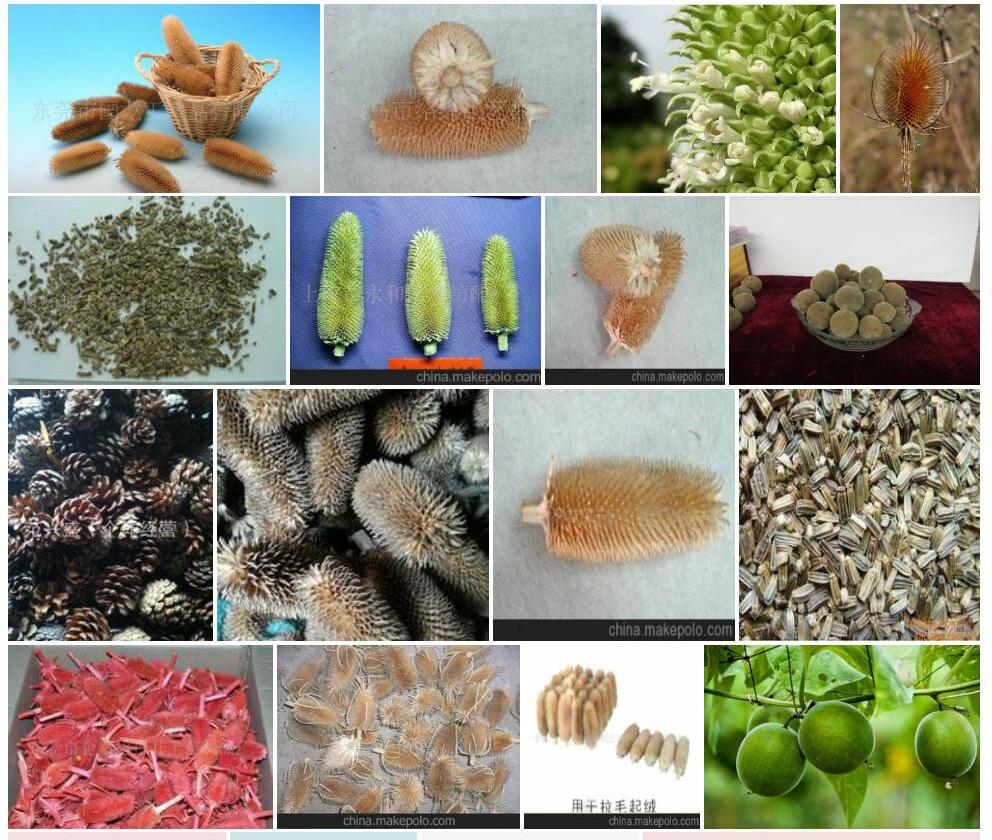 拉毛果照片和图片/