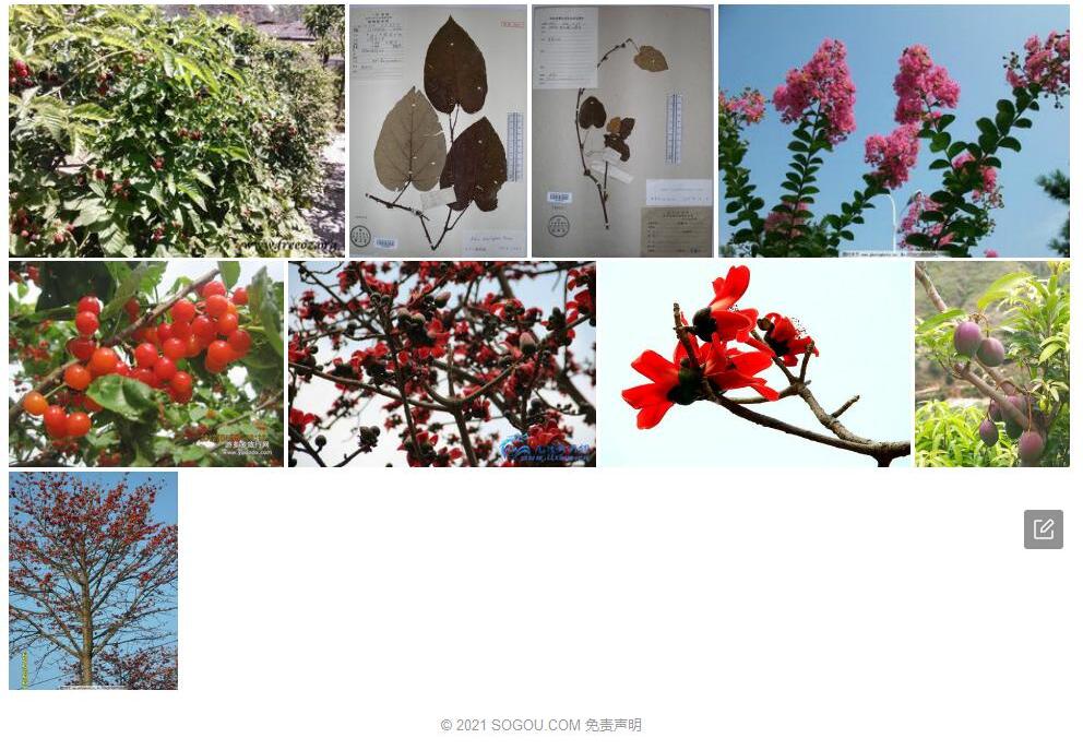 攀枝莓照片和图片/