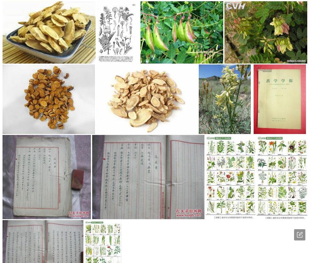 新单蕊黄耆照片和图片/