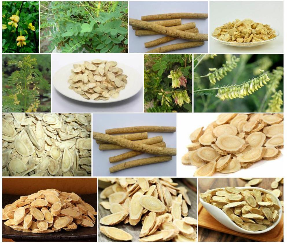 新巴黄耆照片和图片/