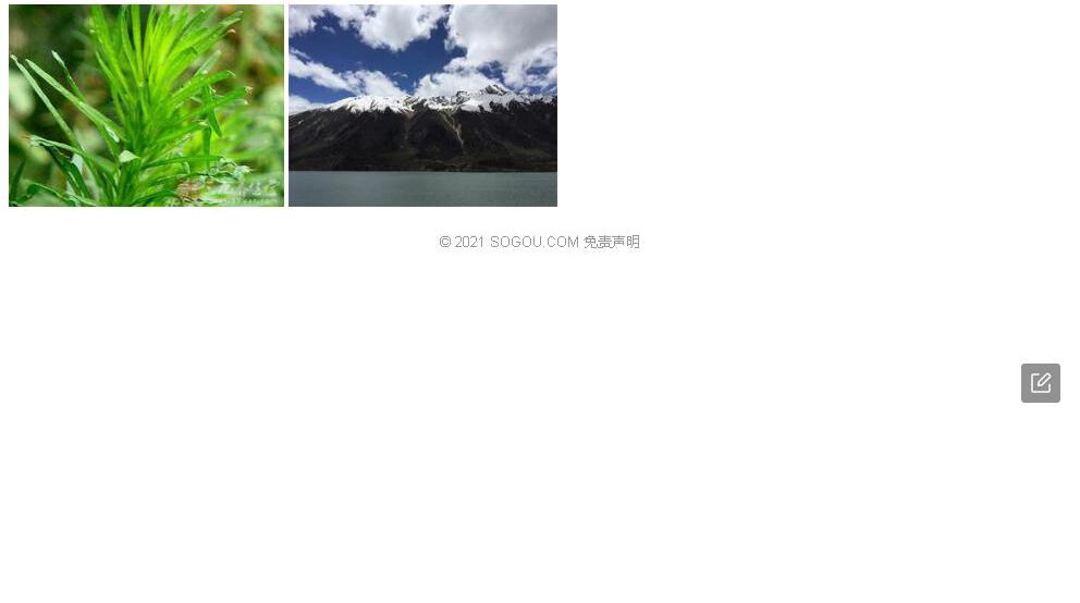 昌都蒿照片和图片/