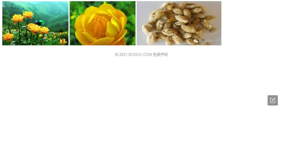 显叶金莲花照片和图片/
