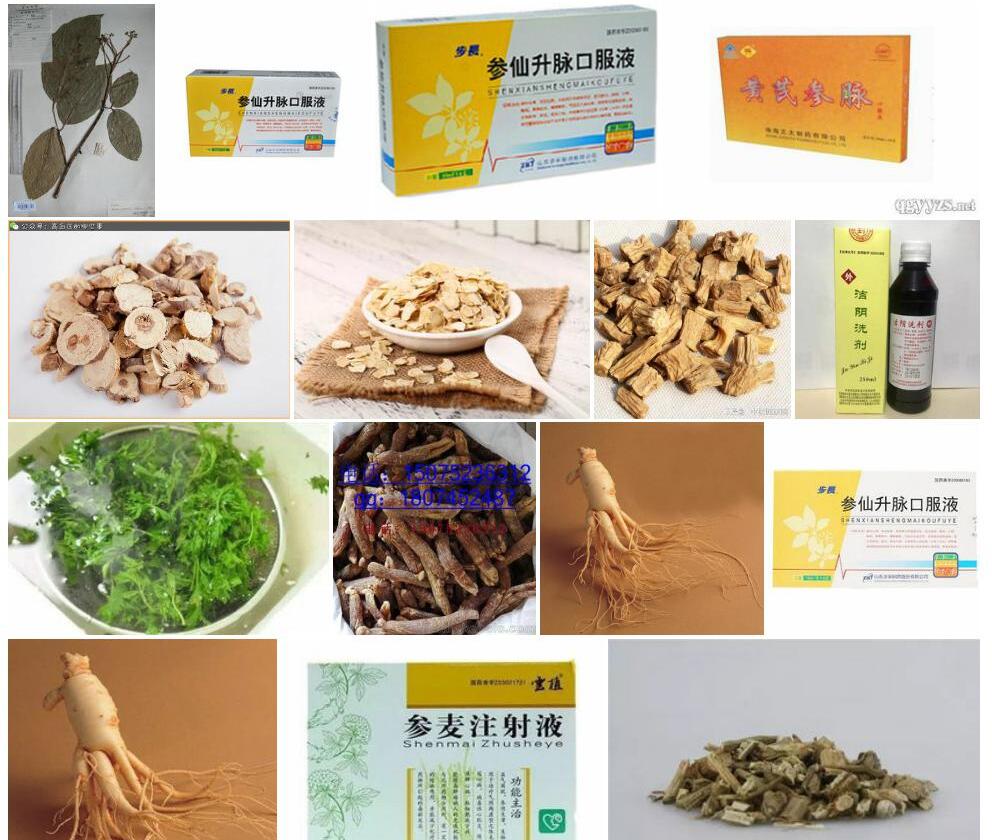 显脉大参照片和图片/