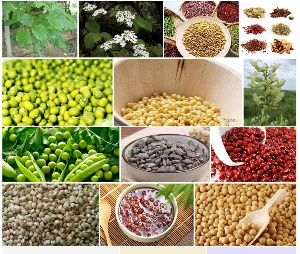 显脉密花豆照片和图片/