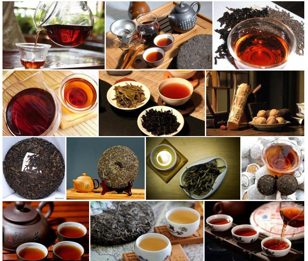 普洱茶照片和图片/
