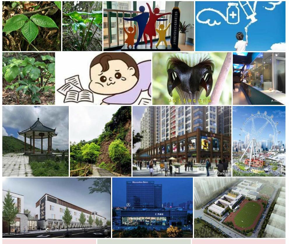普陀南星照片和图片/