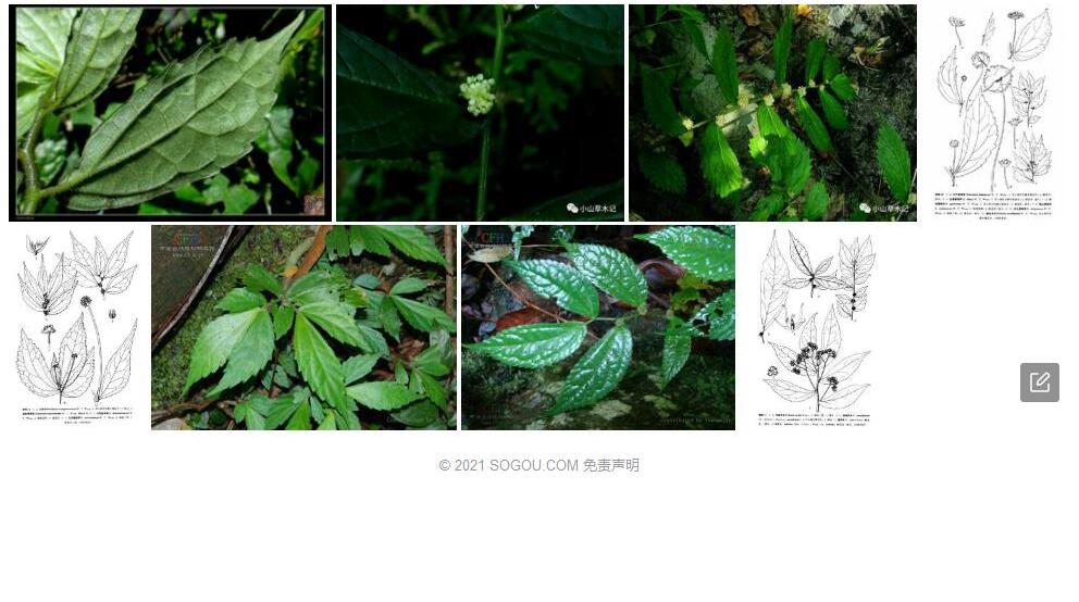 曲毛赤车照片和图片/