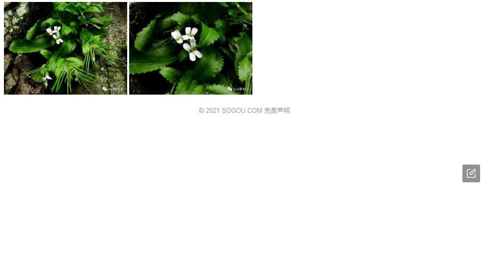 有翅蛇根草照片和图片/
