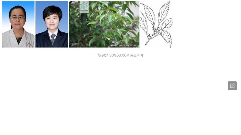 木姜冬青照片和图片/