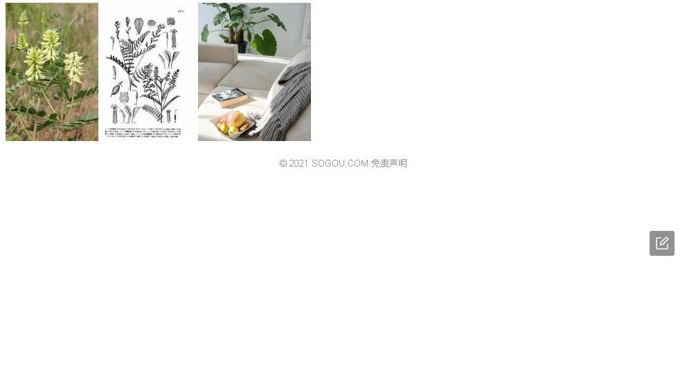 木里黄耆照片和图片/