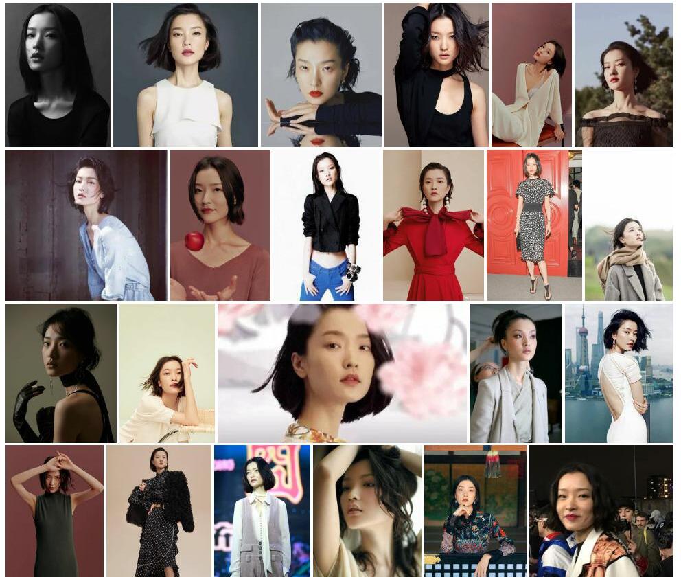杜鹃照片和图片/
