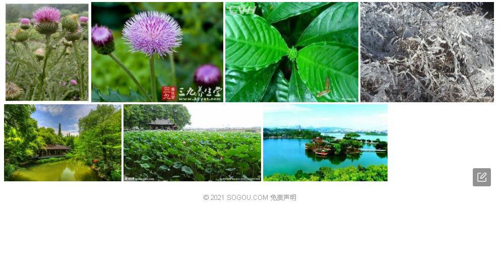 杭蓟照片和图片/