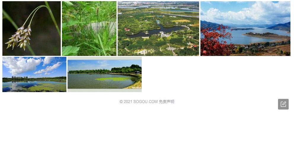 松花江薹草照片和图片/