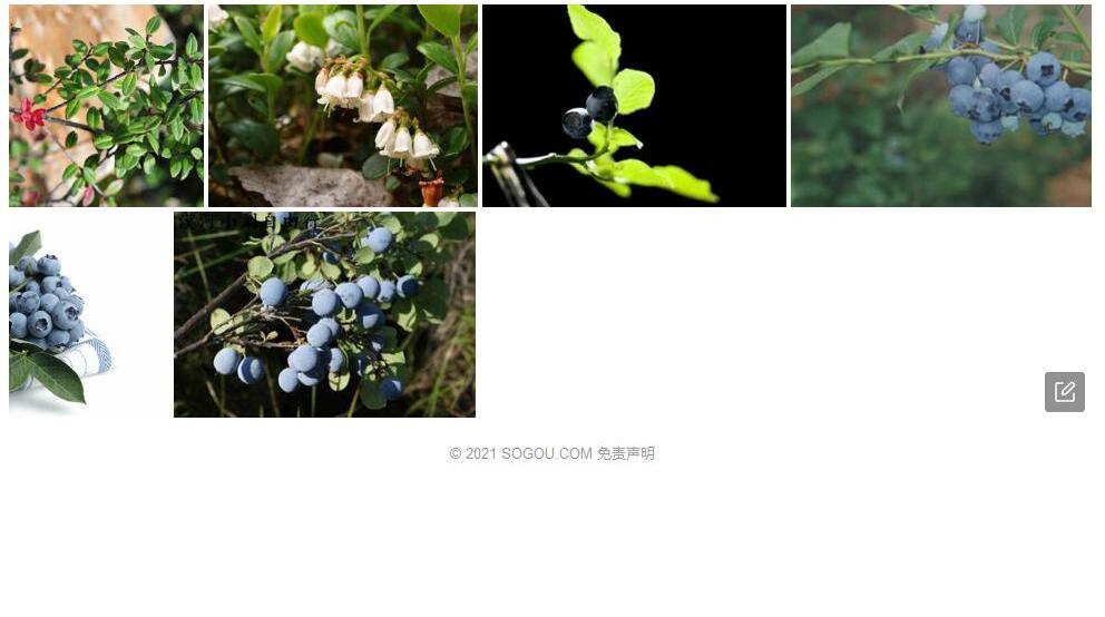 林生越桔照片和图片/