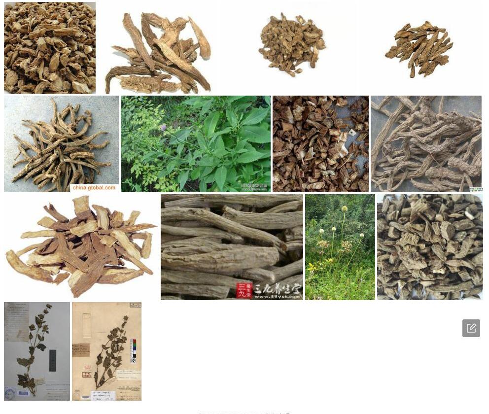 柴续断照片和图片/