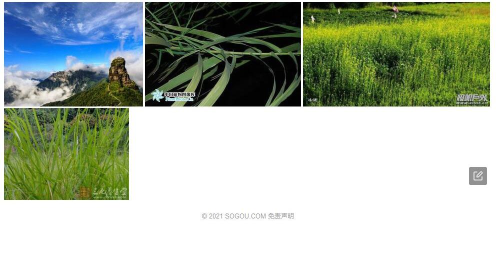 梵净山类芦照片和图片/
