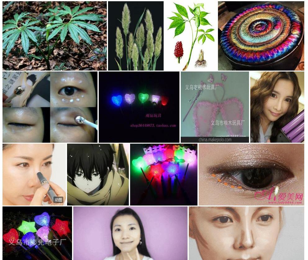 棒头南星照片和图片/