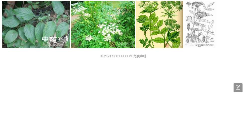 欧泽芹照片和图片/