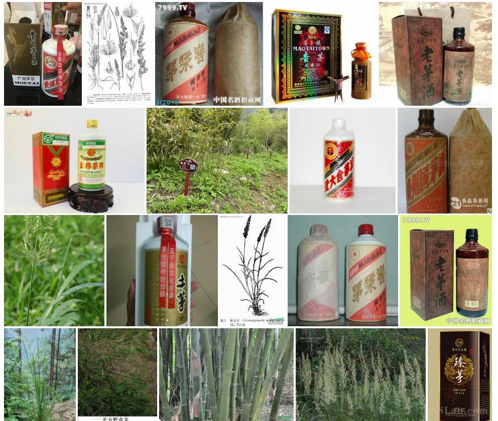 欧野青茅照片和图片/