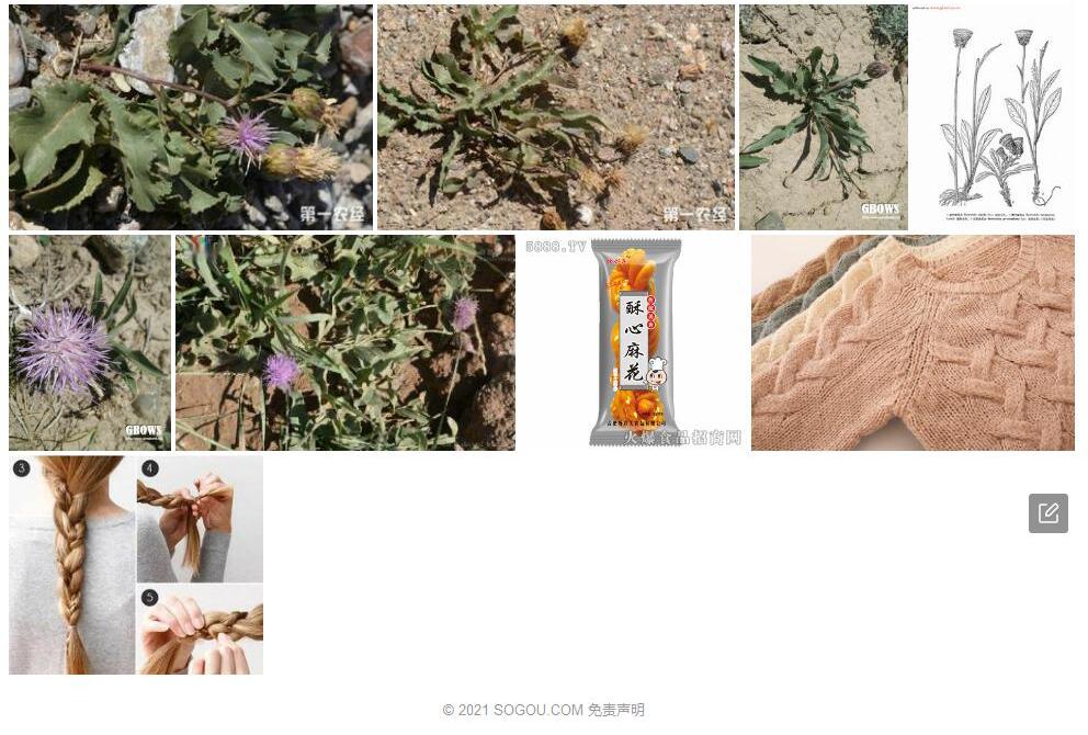 歪斜麻花头照片和图片/
