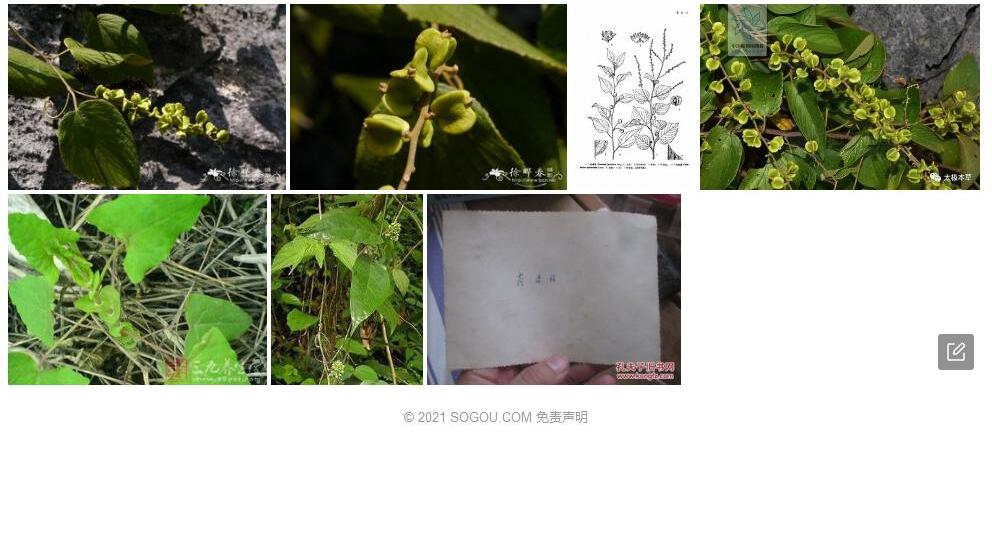 毛咀签照片和图片/