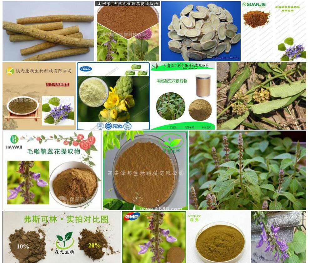 毛喉黄耆照片和图片/