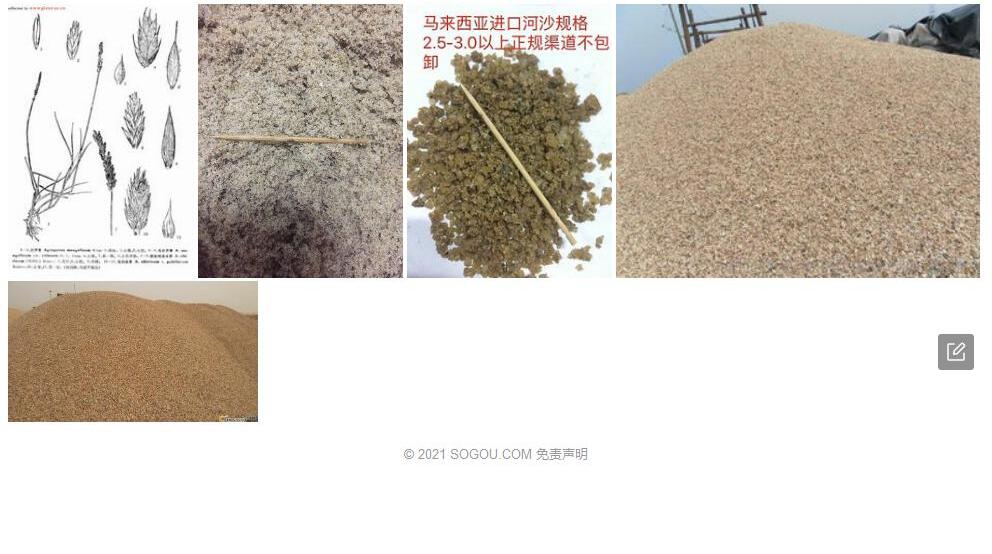 毛沙芦草照片和图片/