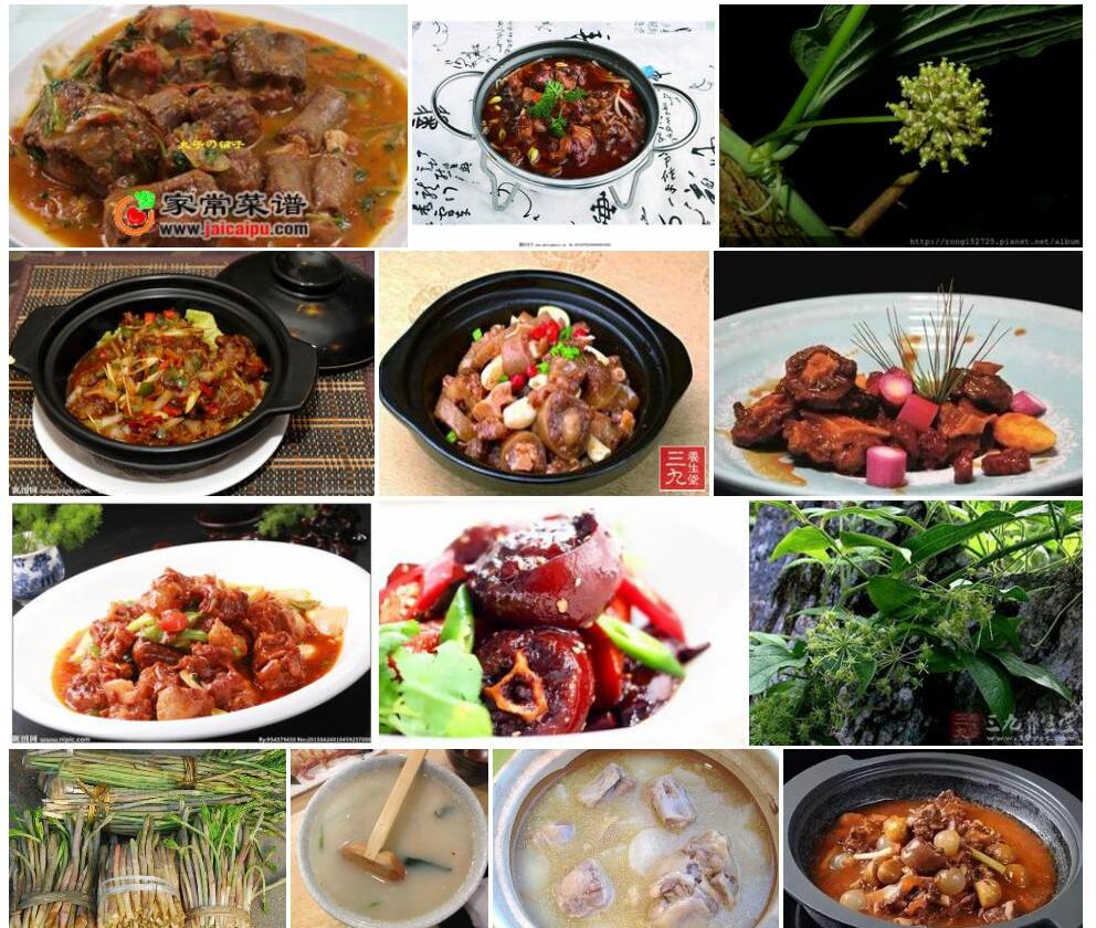 毛牛尾菜照片和图片/